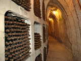 Complete Cellar